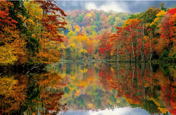 Autumn’s Canvas: Embracing Fall’s Beauty in Broken Bow-Hochatown